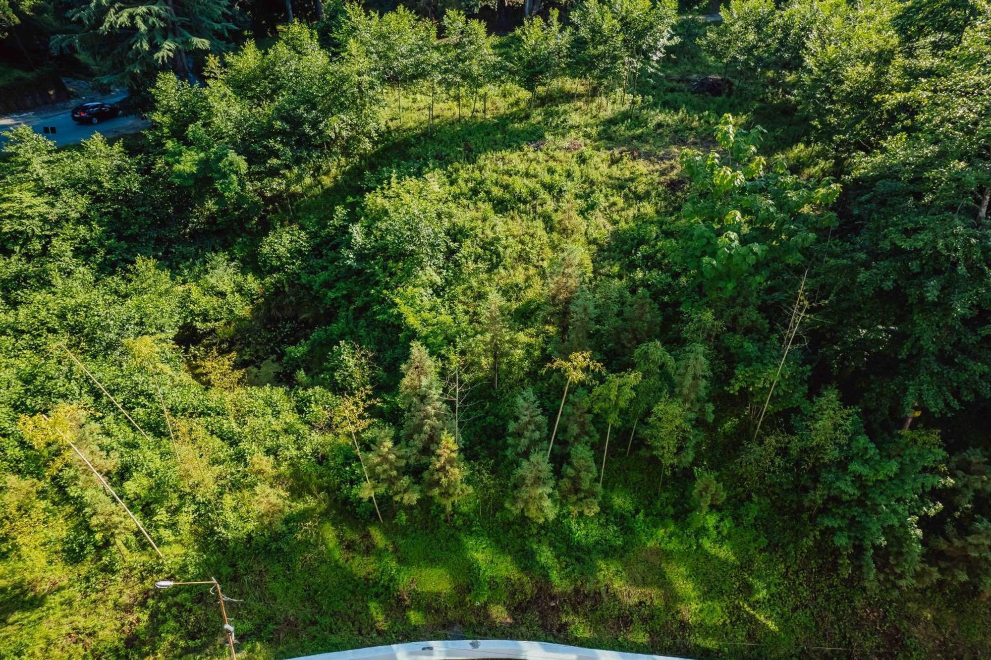 Capo Verde Hotel Batumi Exteriér fotografie